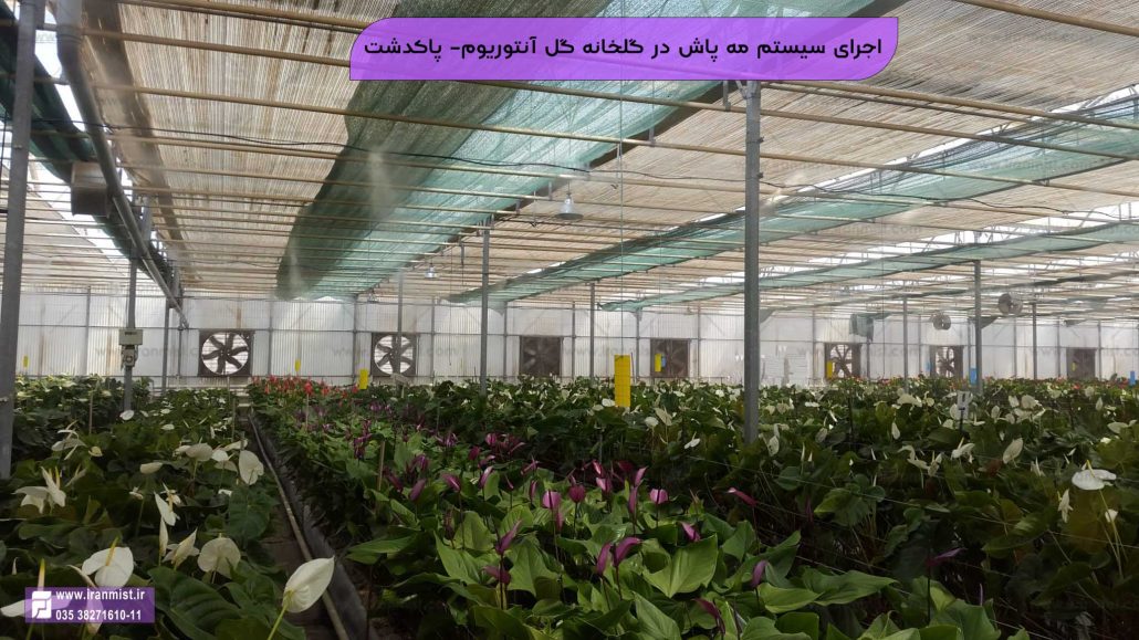 گلخانه